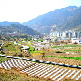 鹿子坝田野风景