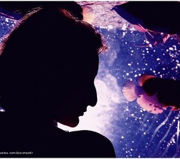 The Secret Caribbean