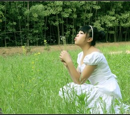 唐苑------小虎牙