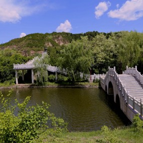龙乡风景