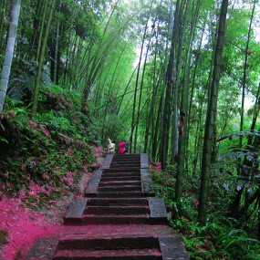 初步学习PS, 尝试修改了几张图