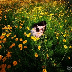 35张图诠释何为人物摄影最佳取景 (第一季)