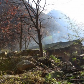 秋风落叶西寺沟