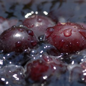 夏日的微距一组