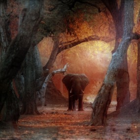 ********又来发帖了*********