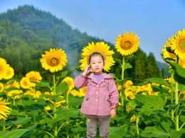 花儿与少年