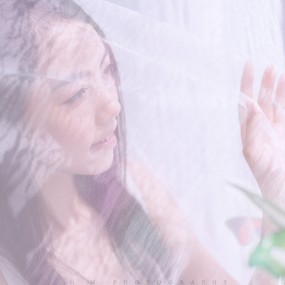 《蝶恋花》【私房】