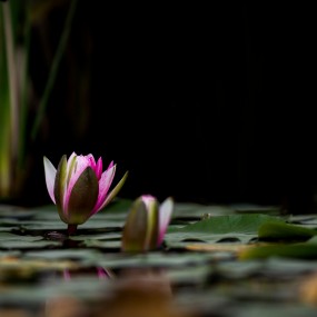 请选择主题分类