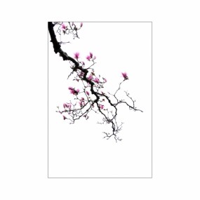 ---极简-唯美-感性---