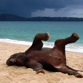 除了剪刀手你还可以这样拍…