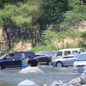 清凉夏日之下河饮战马