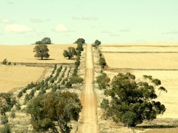 条条大路通罗马