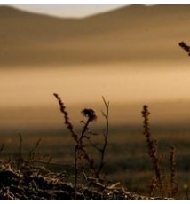 拍摄角度和镜头的透视度