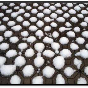 三月雪