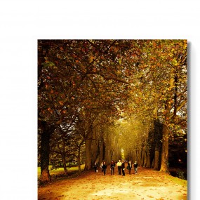 【惚惚出品】法国系列之-图尔情醉古堡