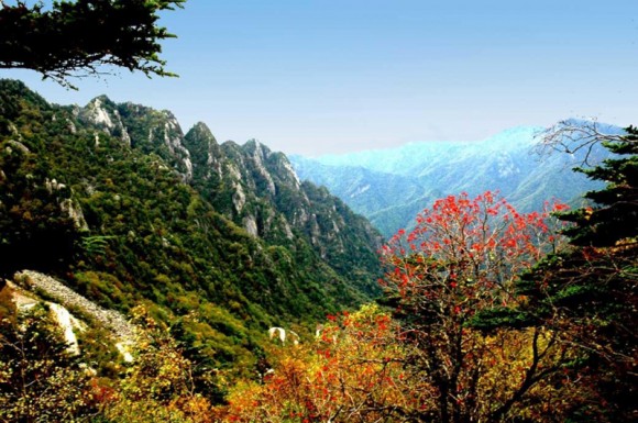 太白山秋色