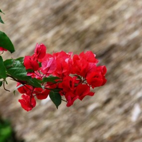 悠游巴厘岛--多彩的世界