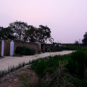 ——洛川的嘎啦苹果——