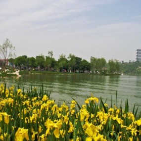 《寻找世园美》参赛作品