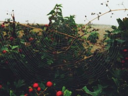 Daniel Casson　风光摄影