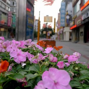 ——四川  德阳  文庙——