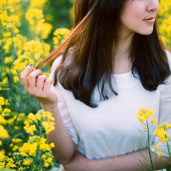 油菜花海