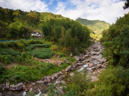 秦岭山中