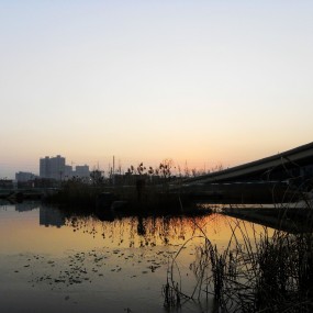 浐灞湿地公园一瞥