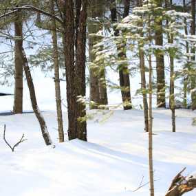 林海雪原（一）