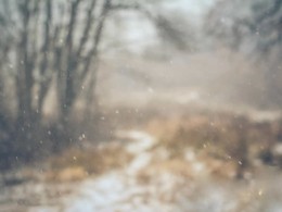 Susan Licht 摄影作品