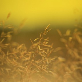 Kari Liimatainen 精彩风光摄影作品（一）