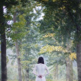 蝉噪林逾静，鸟鸣山更幽