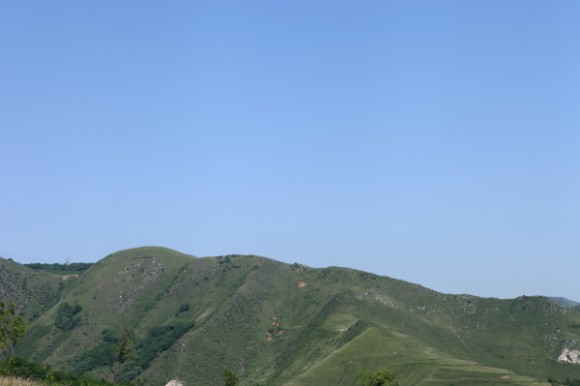 凤鸣岐山