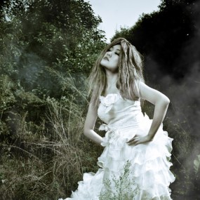 杜陵拍摄...丛林精灵~~~(第二季)