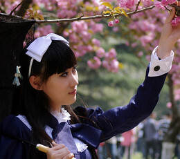 樱花祭几张练习PP