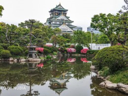 再传几张手机照片