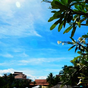 沙巴两张。。。。。