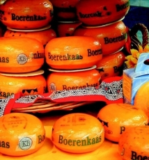 阿姆斯特丹，妖艳和淡雅之间