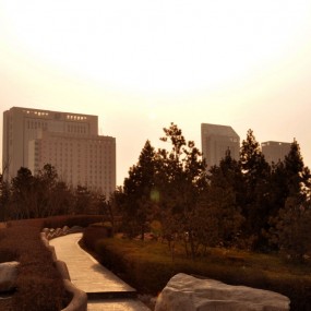 大家好啊，第一次拍片，多拍砖！