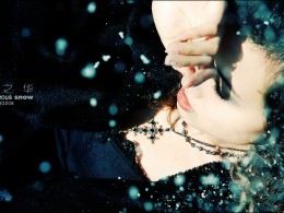 【 雪 之 华 】