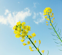 那些年 我们拍过的女孩