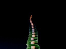 Amy and TQ巴厘岛的盛大而浪漫婚礼G