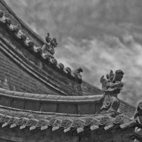 “沧”龙