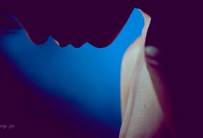 这一生只为你放纵一次~~