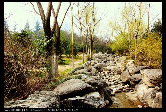 丰庆公园，色彩调的好像有点过