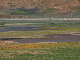 以湿地草原为主的尕海湖