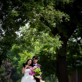 世园见证真爱_世园参赛作品