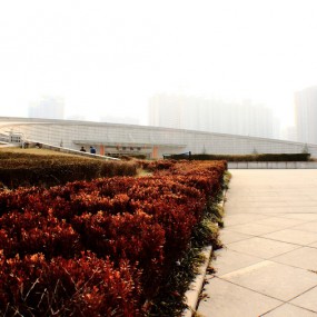 电视塔治疗脊椎特有好处