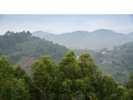 乡行散记：人是故乡亲