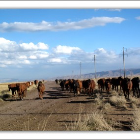 山丹军马场游记，随拍2012.10.3